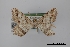  ( - USNM ENT 01921963)  @11 [ ] Unspecified (default): All Rights Reserved  Unspecified Unspecified