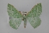  ( - USNM ENT 02001017)  @11 [ ] Unspecified (default): All Rights Reserved  Unspecified Unspecified