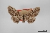  ( - USNM ENT 02001076)  @11 [ ] Unspecified (default): All Rights Reserved  Unspecified Unspecified