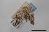  ( - USNM ENT 02001139)  @11 [ ] Unspecified (default): All Rights Reserved  Unspecified Unspecified