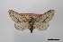  ( - USNM ENT 02001149)  @11 [ ] Unspecified (default): All Rights Reserved  Unspecified Unspecified