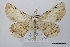  ( - USNM ENT 02001172)  @11 [ ] Unspecified (default): All Rights Reserved  Unspecified Unspecified