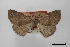  ( - USNM ENT 02001182)  @11 [ ] Unspecified (default): All Rights Reserved  Unspecified Unspecified