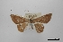  ( - USNM ENT 02001207)  @11 [ ] Unspecified (default): All Rights Reserved  Unspecified Unspecified