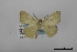  ( - USNM ENT 02001250)  @11 [ ] Unspecified (default): All Rights Reserved  Unspecified Unspecified