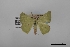  ( - USNM ENT 02001251)  @11 [ ] Unspecified (default): All Rights Reserved  Unspecified Unspecified