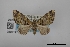  ( - USNM ENT 02001271)  @11 [ ] Unspecified (default): All Rights Reserved  Unspecified Unspecified