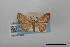  ( - USNM ENT 02001285)  @11 [ ] Unspecified (default): All Rights Reserved  Unspecified Unspecified
