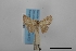  ( - USNM ENT 02001290)  @11 [ ] Unspecified (default): All Rights Reserved  Unspecified Unspecified