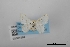  ( - USNM ENT 02001295)  @11 [ ] Unspecified (default): All Rights Reserved  Unspecified Unspecified