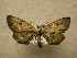  ( - 09-MISC-020)  @14 [ ] Unspecified (default): All Rights Reserved  Unspecified Unspecified