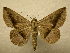  ( - 09-MISC-059)  @13 [ ] Unspecified (default): All Rights Reserved  Unspecified Unspecified