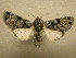  ( - 09-MISC-076)  @14 [ ] Unspecified (default): All Rights Reserved  Unspecified Unspecified