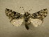  ( - 09-MISC-077)  @14 [ ] Unspecified (default): All Rights Reserved  Unspecified Unspecified