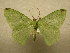  ( - 09-MISC-078)  @13 [ ] Unspecified (default): All Rights Reserved  Unspecified Unspecified
