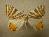  ( - 09-MISC-080)  @13 [ ] Unspecified (default): All Rights Reserved  Unspecified Unspecified