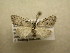  ( - 10-NCCC-097)  @13 [ ] No Rights Reserved (2010) Unspecified Research Collection of J. B. Sullivan