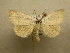  ( - 10-NCCC-108)  @13 [ ] No Rights Reserved (2010) Unspecified Research Collection of J. B. Sullivan