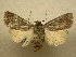  ( - 10-NCCC-110)  @14 [ ] No Rights Reserved (2010) Unspecified Research Collection of J. B. Sullivan