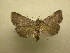  ( - 10-NCCC-175)  @14 [ ] No Rights Reserved (2010) Unspecified Research Collection of J. B. Sullivan