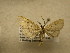 ( - 10-NCCC-185)  @13 [ ] No Rights Reserved (2010) Unspecified Research Collection of J. B. Sullivan