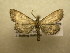  ( - 10-NCCC-186)  @14 [ ] No Rights Reserved (2010) Unspecified Research Collection of J. B. Sullivan