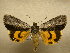  ( - 10-NCCC-207)  @14 [ ] No Rights Reserved (2010) Unspecified Research Collection of J. B. Sullivan