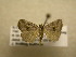  ( - 10-NCCC-221)  @12 [ ] No Rights Reserved (2010) Unspecified Research Collection of J. B. Sullivan