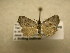  ( - 10-NCCC-223)  @12 [ ] No Rights Reserved (2010) Unspecified Research Collection of J. B. Sullivan