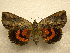  ( - 10-NCCC-412)  @13 [ ] No Rights Reserved (2010) James Sullivan Research Collection of J. B. Sullivan
