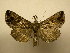  ( - 11-NCCC-550)  @14 [ ] No Rights Reserved (2011) JB Sullivan Research Collection of J. B. Sullivan