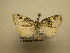  ( - 11-NCCC-633)  @13 [ ] No Rights Reserved (2011) JB Sullivan Research Collection of J. B. Sullivan