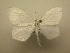  ( - 11-NCCC-668)  @13 [ ] No Rights Reserved (2011) JB Sullivan Research Collection of J. B. Sullivan