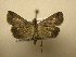  ( - 11-NCCC-741)  @14 [ ] No Rights Reserved (2011) JB Sullivan Research Collection of J. B. Sullivan