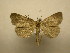  ( - 11-NCCC-860)  @13 [ ] No Rights Reserved (2011) JB Sullivan Research Collection of J. B. Sullivan