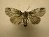 ( - 11-NCCC-930)  @13 [ ] No Rights Reserved (2011) JB Sullivan Research Collection of J. B. Sullivan