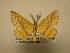  ( - 11-NCCC-942)  @13 [ ] No Rights Reserved (2011) JB Sullivan Research Collection of J. B. Sullivan