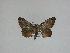  ( - 14-NCCC-013)  @14 [ ] Unspecified (default): All Rights Reserved  Unspecified Unspecified
