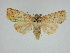 ( - 14-NCCC-030)  @14 [ ] Unspecified (default): All Rights Reserved  Unspecified Unspecified