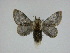  ( - 14-NCCC-056)  @13 [ ] Unspecified (default): All Rights Reserved  Unspecified Unspecified
