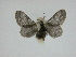  ( - 14-NCCC-057)  @13 [ ] Unspecified (default): All Rights Reserved  Unspecified Unspecified