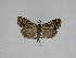  ( - 14-NCCC-059)  @13 [ ] Unspecified (default): All Rights Reserved  Unspecified Unspecified