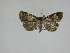  ( - 14-NCCC-072)  @13 [ ] Unspecified (default): All Rights Reserved  Unspecified Unspecified