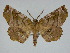  ( - 14-NCCC-106)  @14 [ ] Unspecified (default): All Rights Reserved  Unspecified Unspecified