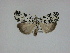  ( - 14-NCCC-118)  @13 [ ] Unspecified (default): All Rights Reserved  Unspecified Unspecified