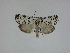  ( - 14-NCCC-119)  @13 [ ] Unspecified (default): All Rights Reserved  Unspecified Unspecified