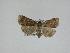  ( - 14-NCCC-141)  @13 [ ] Unspecified (default): All Rights Reserved  Unspecified Unspecified