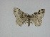  ( - 14-NCCC-162)  @12 [ ] Unspecified (default): All Rights Reserved  Unspecified Unspecified