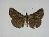  ( - 14-NCCC-172)  @13 [ ] Unspecified (default): All Rights Reserved  Unspecified Unspecified