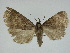  ( - 14-NCCC-179)  @13 [ ] Unspecified (default): All Rights Reserved  Unspecified Unspecified